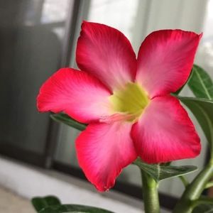 Meet your Posher, Magdalena